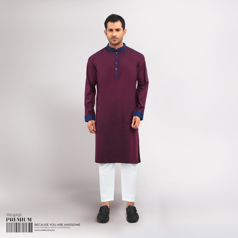 Smart Panjabi